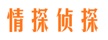 山城市私家侦探